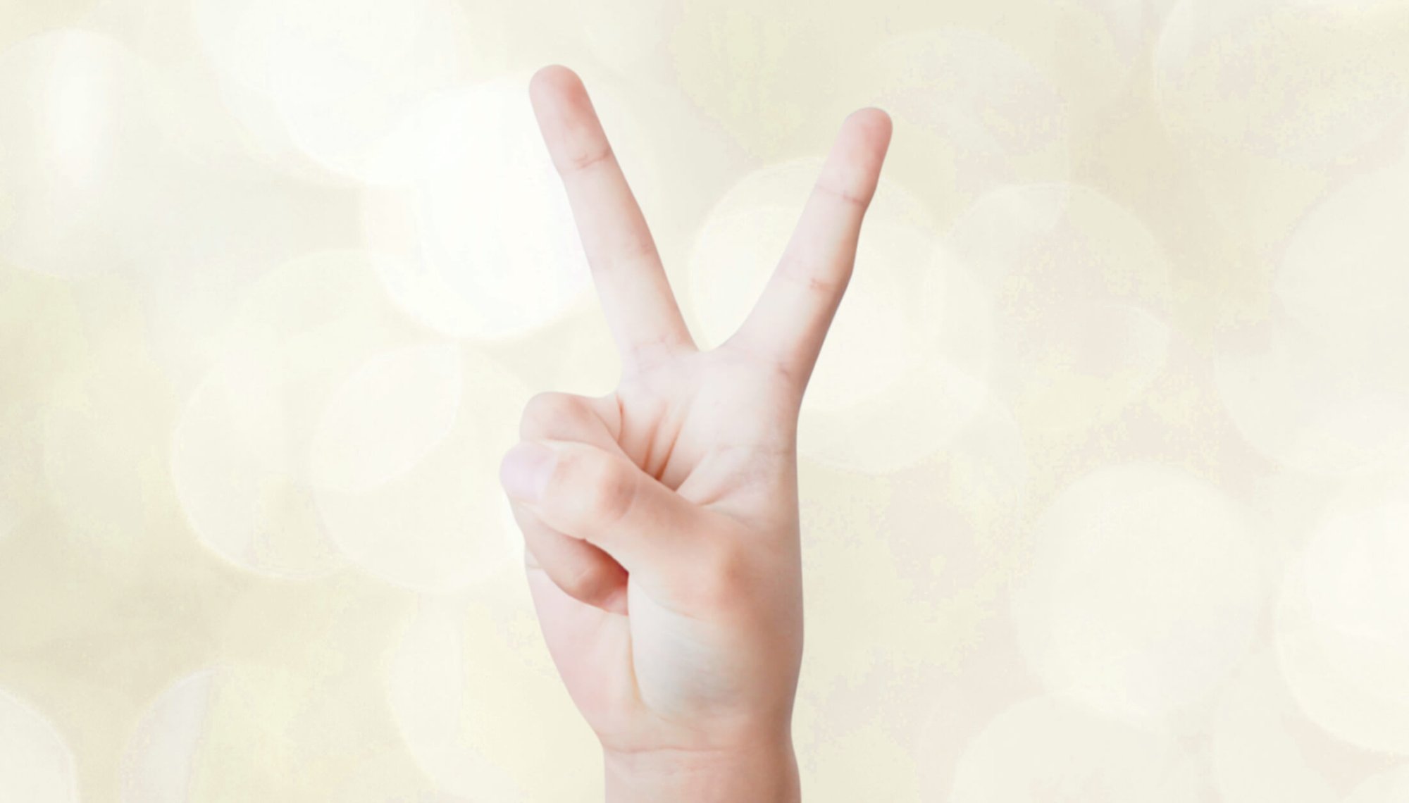 ドリームマーリン